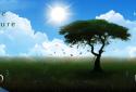 Jade Nature HD Lite screenshot 1 Jade Nature HD Lite screenshot 1