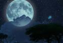 Jade Nature HD Lite screenshot 8 Jade Nature HD Lite screenshot 8