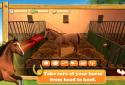 Horse World 3D - Premium screenshot 8