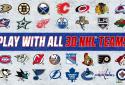 Big Win NHL screenshot 4