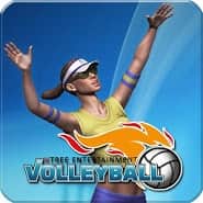 VTree Entertainment Volleyball