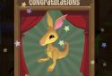 AJ Jump: Animal Jam Kangaroos! screenshot 4