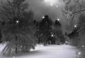 Falling Snow-Christmas LWP screenshot 3