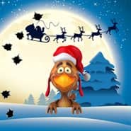 Rooster Shooter XMAS Edition