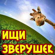 Найди животных. Ищи зверушек!