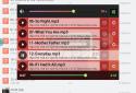 LaPlayer light screenshot 11