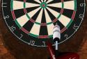 Pro Darts 2018 screenshot 1