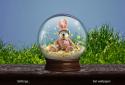Spring Live Wallpaper Pro screenshot 11 Spring Live Wallpaper Pro screenshot 11