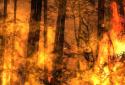 Flames HD Pro Live Wallpaper screenshot 6