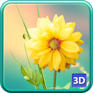 3D Flowers Live Wallpaper