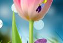 3D Flowers Live Wallpaper screenshot 1