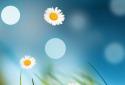 3D Flowers Live Wallpaper screenshot 3