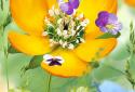 3D Flowers Live Wallpaper screenshot 5