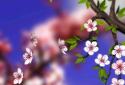 Spring Flowers 3D Parallax Pro screenshot 1