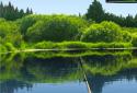 Pocket Fishing screenshot 18