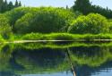 Pocket Fishing screenshot 4