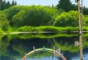 Pocket Fishing screenshot 7