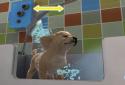 PS Vita Pets: Puppy Parlour screenshot 2