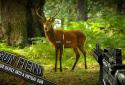 Gun Fiend screenshot 1
