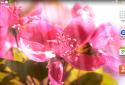 Spring Flowers Live Wallpaper screenshot 5
