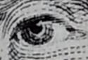 Magnifier & Microscope+ [Cozy] screenshot 3