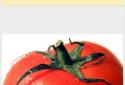 Bubblick screenshot 4