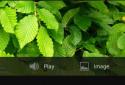Bubblick screenshot 6