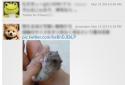 TwitPane for Twitter screenshot 1
