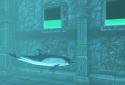 Can you escape Mermaid Cage? screenshot 3