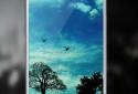 Blue Sky Pro Live Wallpaper screenshot 2