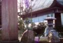 Real Zen Garden 3D: Night LWP screenshot 8