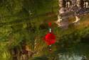 Fishing Float Live Wallpaper screenshot 5