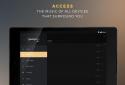 Equalizer + Pro (Music Player) screenshot 16