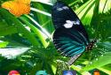 3D Image Live Wallpaper screenshot 5