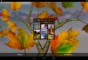 Autumn Leaves in HD Gyro 3D XL  Parallax Wallpaper screenshot 11