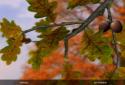 Autumn Leaves in HD Gyro 3D XL  Parallax Wallpaper screenshot 14
