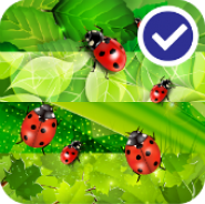 Colorful Ladybug Garden LWP