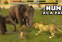 Cheetah Simulator screenshot 7