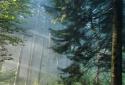 Panoramic Screen screenshot 18