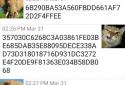 The Wall (Free SMS Encription) screenshot 2