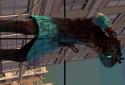 Judgement day 2-zombie shooting 3d screenshot 3