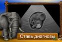 Клініка для тварин - Африка screenshot 1