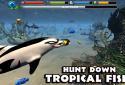 Dolphin Simulator screenshot 9