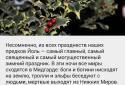 Какой сегодня праздник? screenshot 6