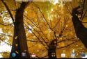 Прекрасна осінь Живі шпалери screenshot 12