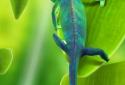 Chameleon 3D Live Wallpaper screenshot 3