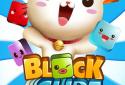 Block Slide Rush screenshot 1