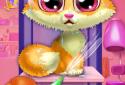 Dr. Paw - Crazy Clinic Opening screenshot 1