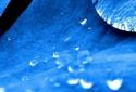 Dark Blue Parallax Wallpaper screenshot 6