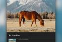 Adobe Photoshop Lightroom CC screenshot 4